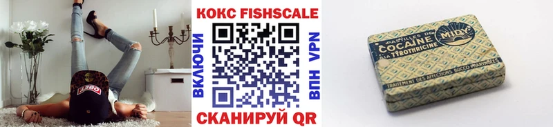 как найти закладки  Шадринск  Cocaine Fish Scale 