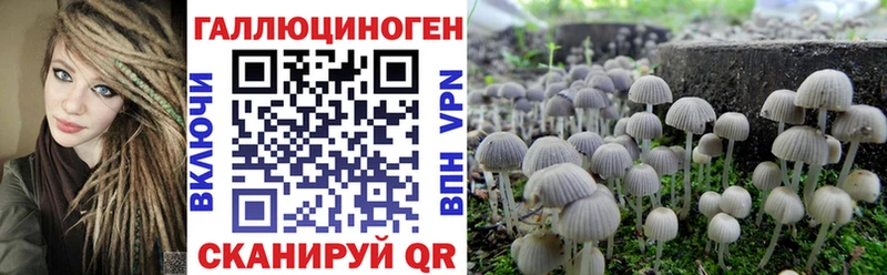 Псилоцибиновые грибы мухоморы  Шадринск 