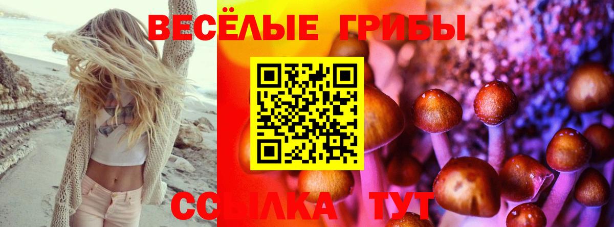 Псилоцибиновые грибы мухоморы  Вход с VPN  Шадринск 